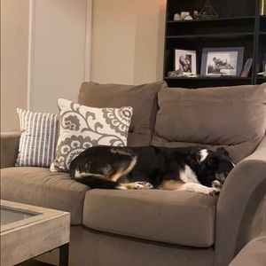 Meet your Posher, Julie